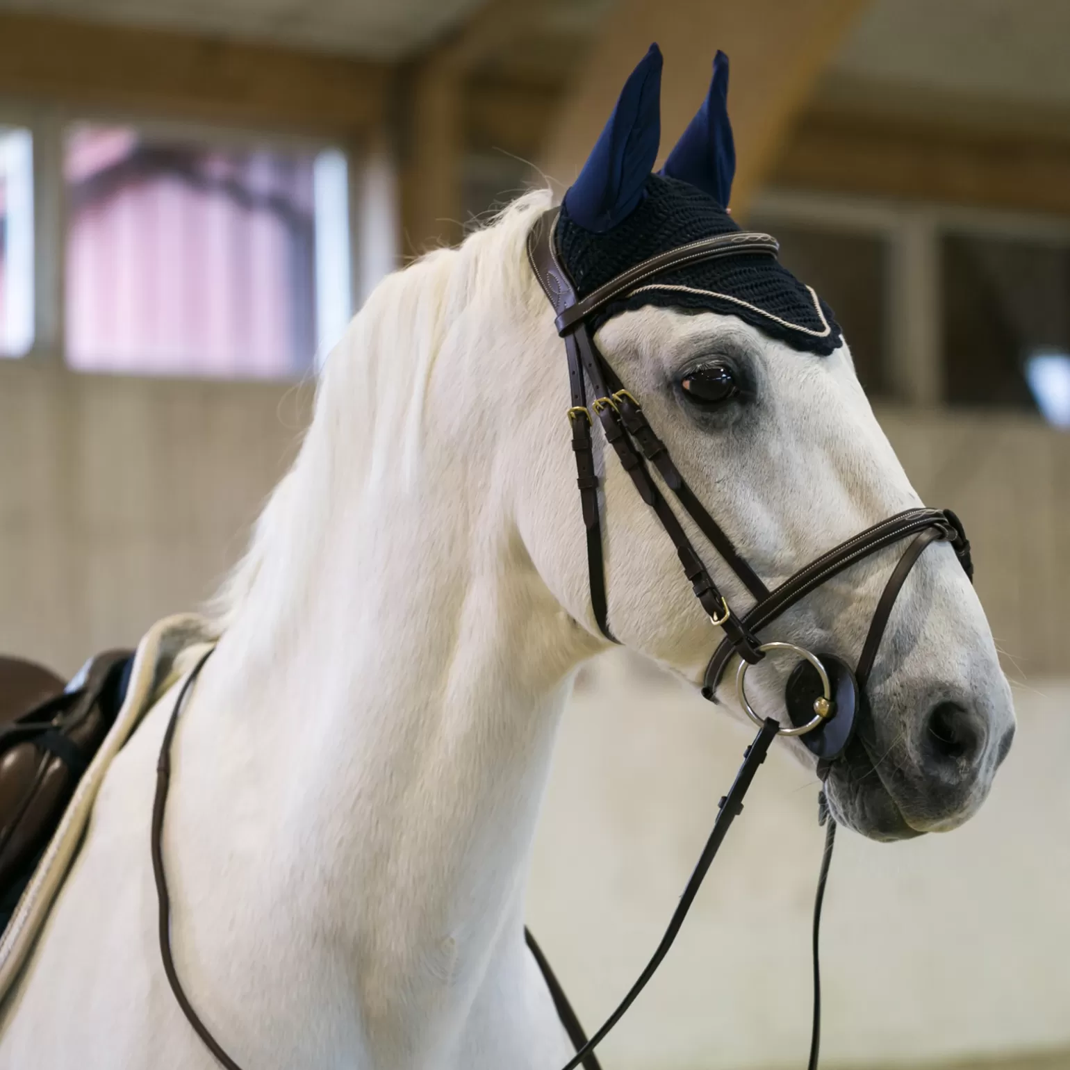 Cheap B Vertigo Sam Fliegenhaube Mit Ohren (Ohrenhaube) Fliegenhauben & Fliegenohren