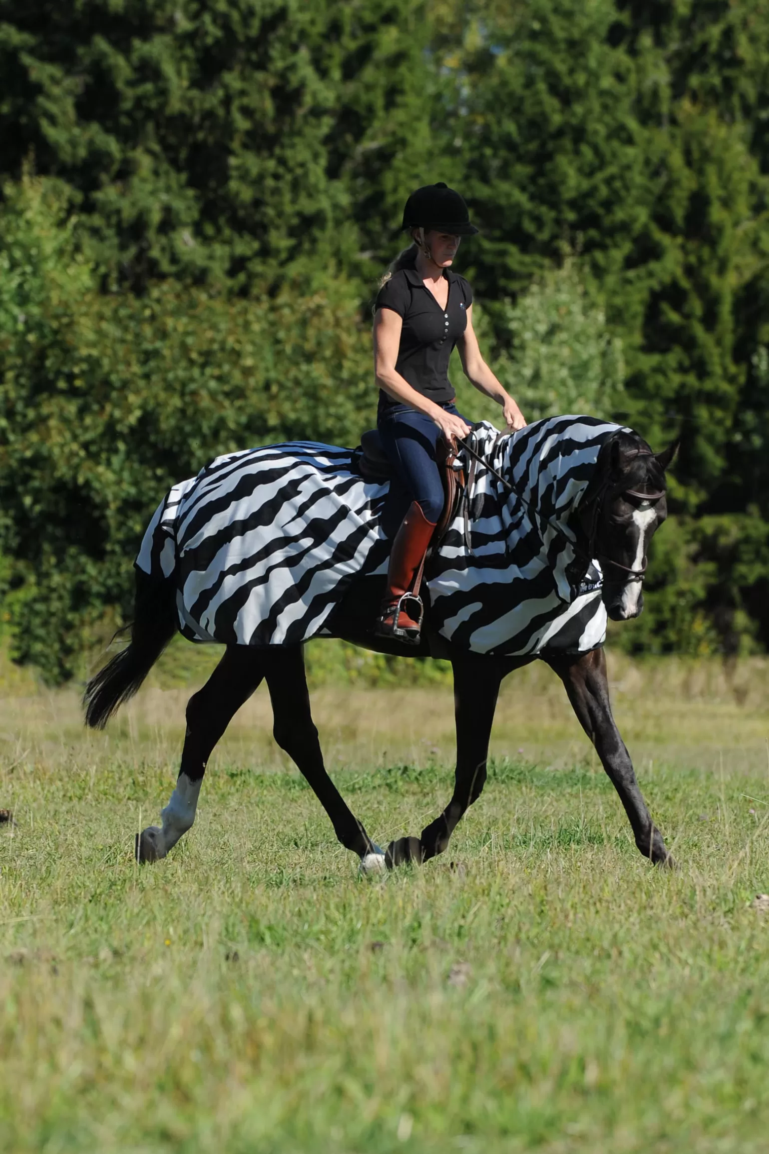 Clearance Buzz-Off Riding Zebra Fliegenausreitdecke Fliegendecken