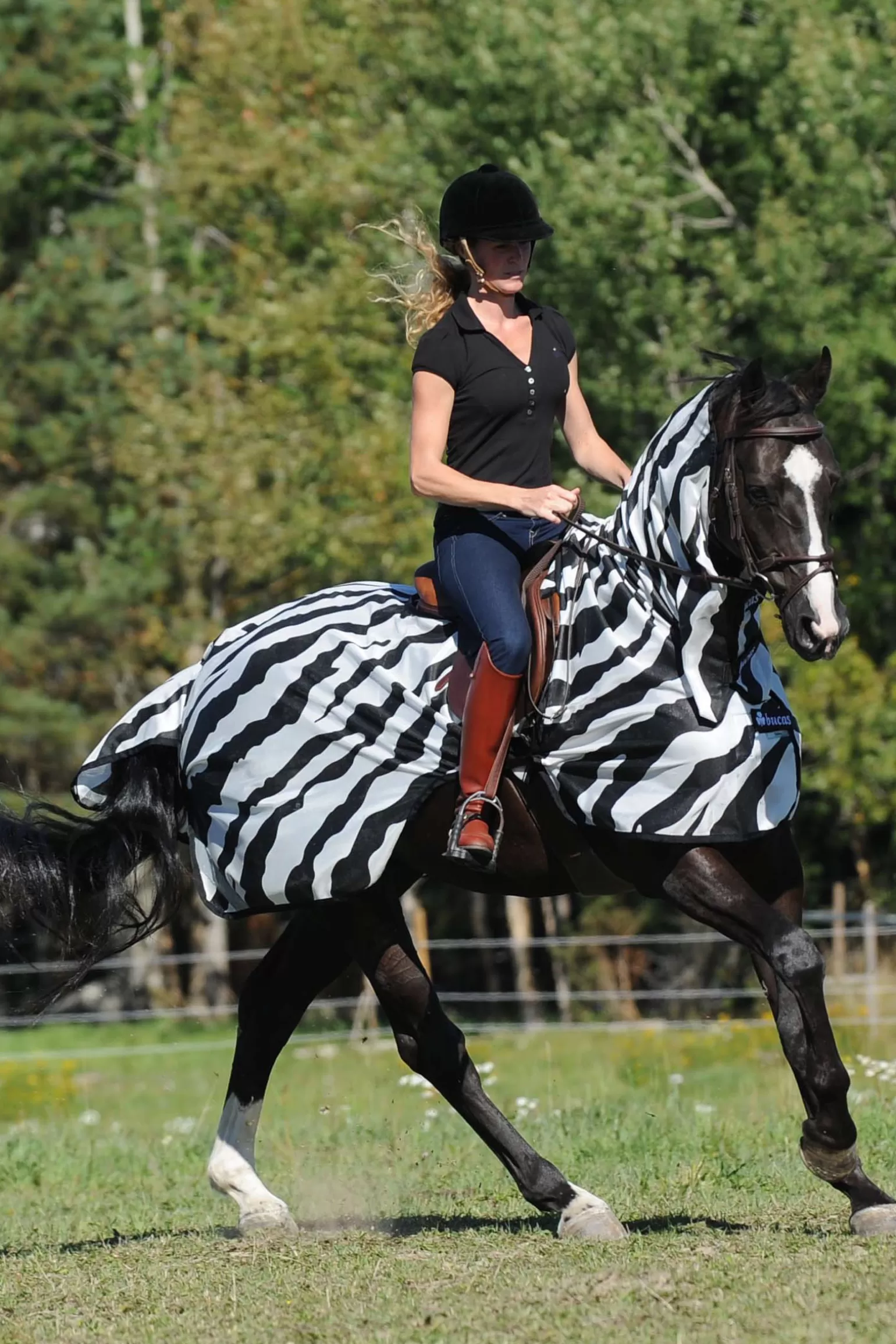 Clearance Buzz-Off Riding Zebra Fliegenausreitdecke Fliegendecken