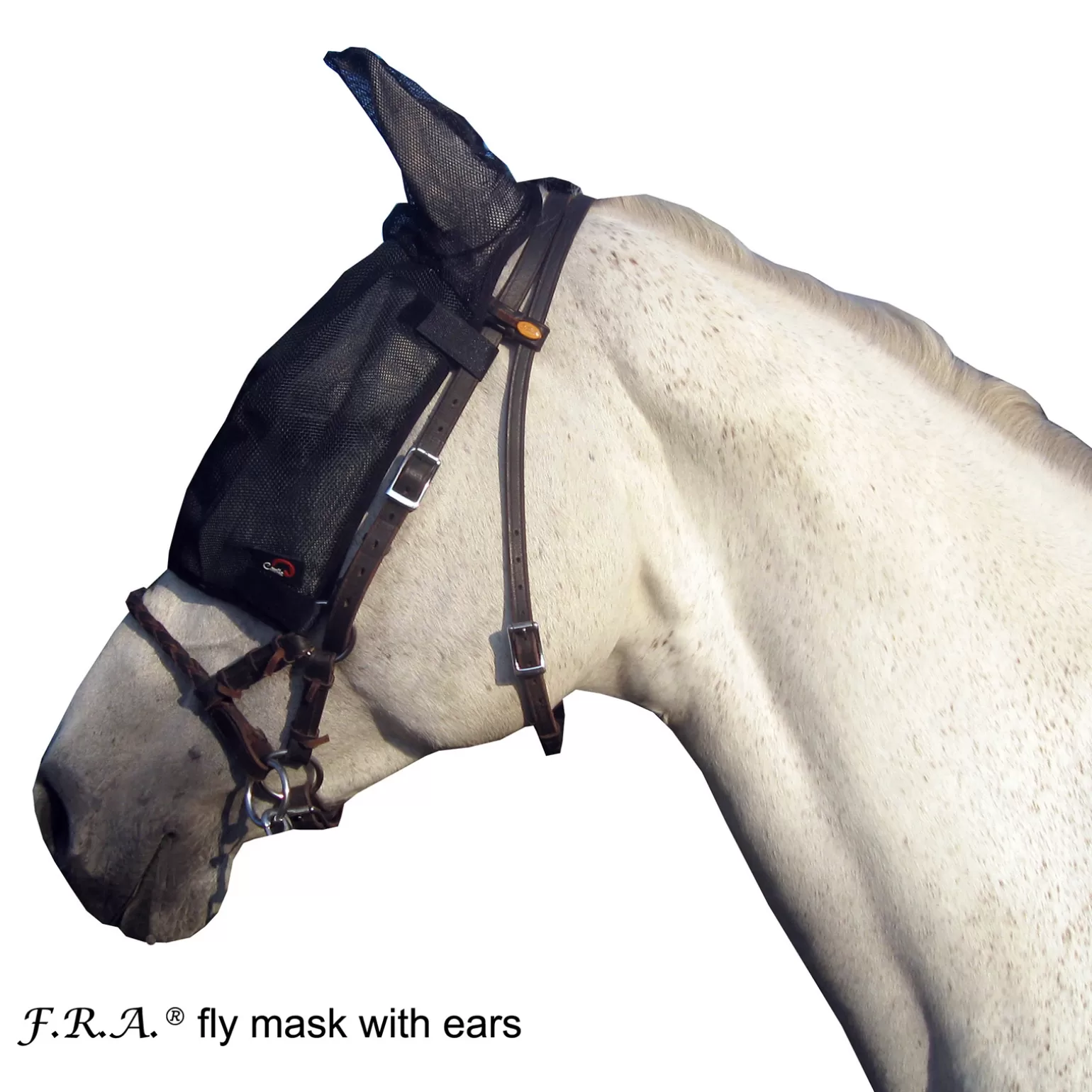 Clearance F.R.A. Cavallo Fliegenmaske Mit Ohren Fliegenmasken & Fliegenfransen