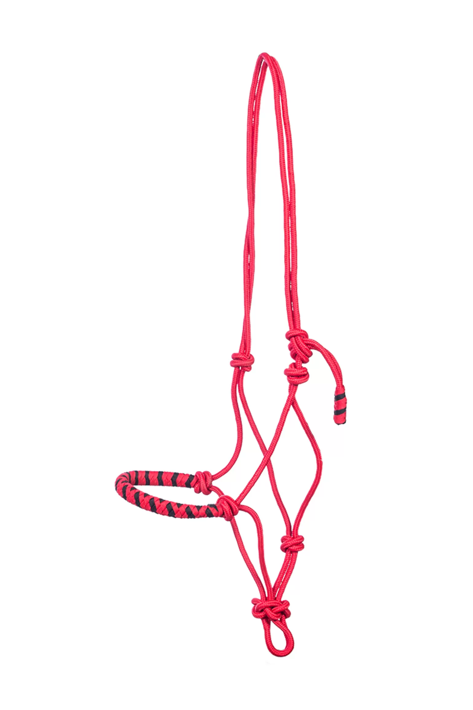 Best Sale Jabar Traingingsseil, Halfter, 8 Mm (System 3) Mit Geflochtenem Nasenriemen Halfter