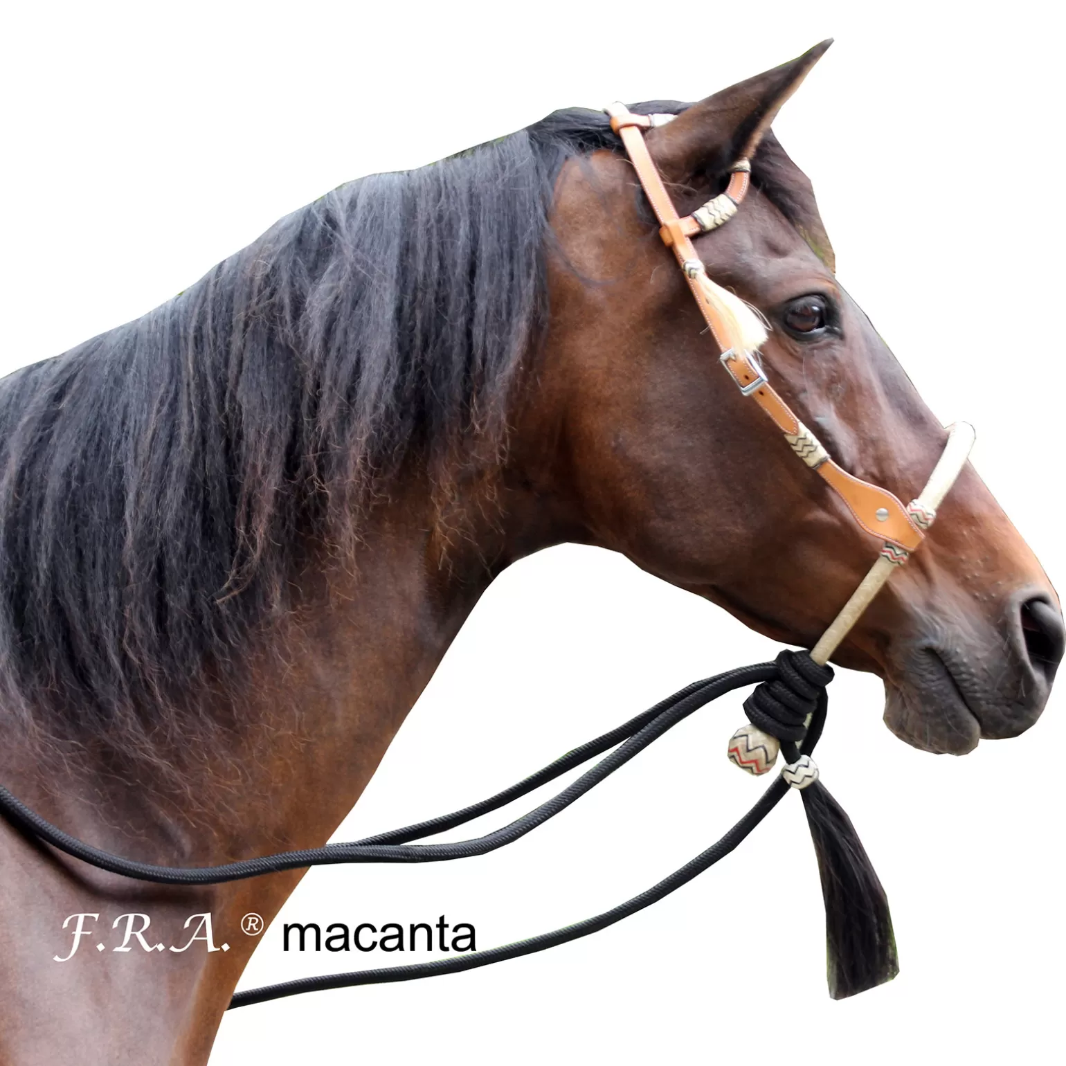 Fashion F.R.A. Macanta Complete Bosal Bridle (System 2) Trensen & Reithalfter