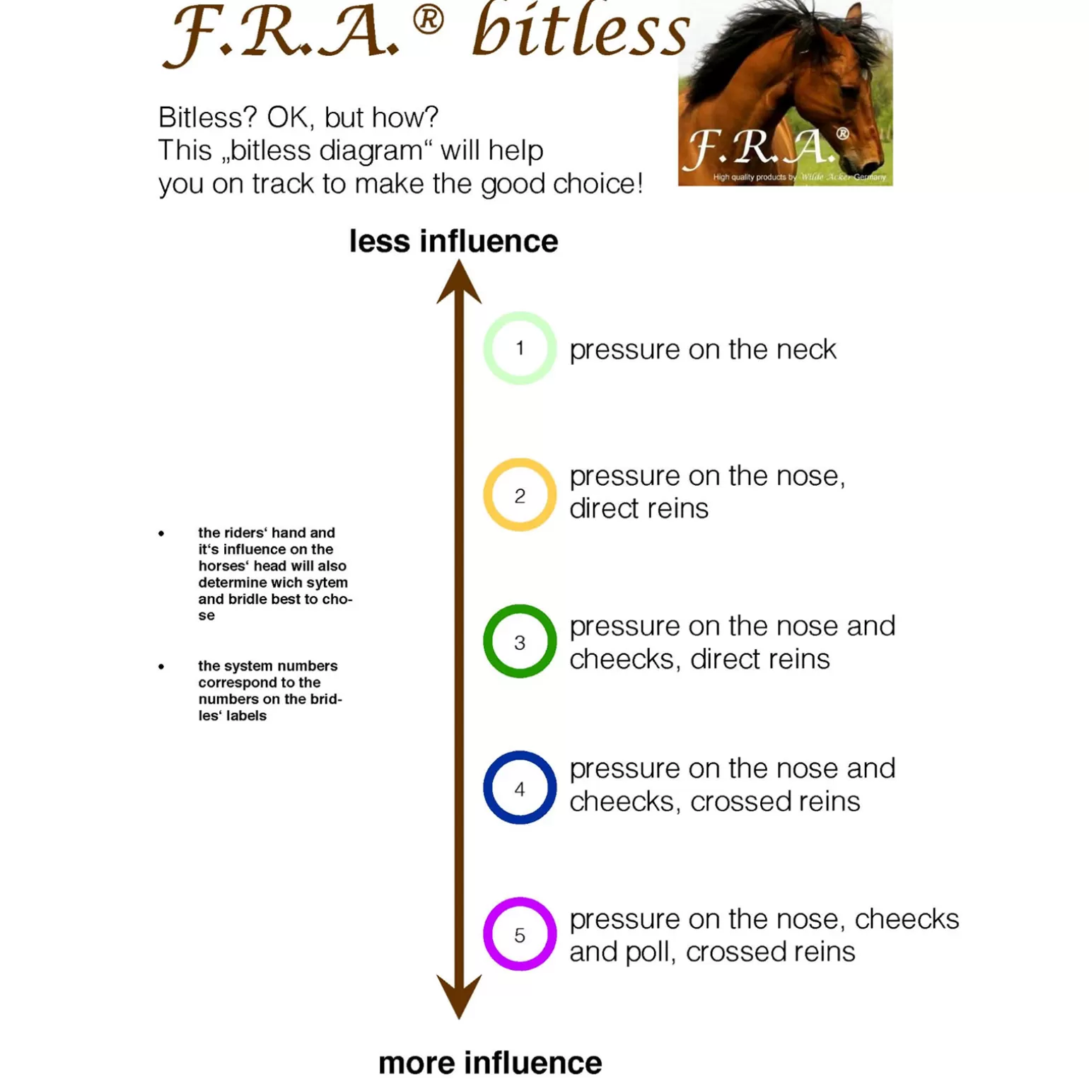 Store F.R.A. Tinver Bitless Bridle (System 4) Soft Leather Reins Incl Trensen & Reithalfter