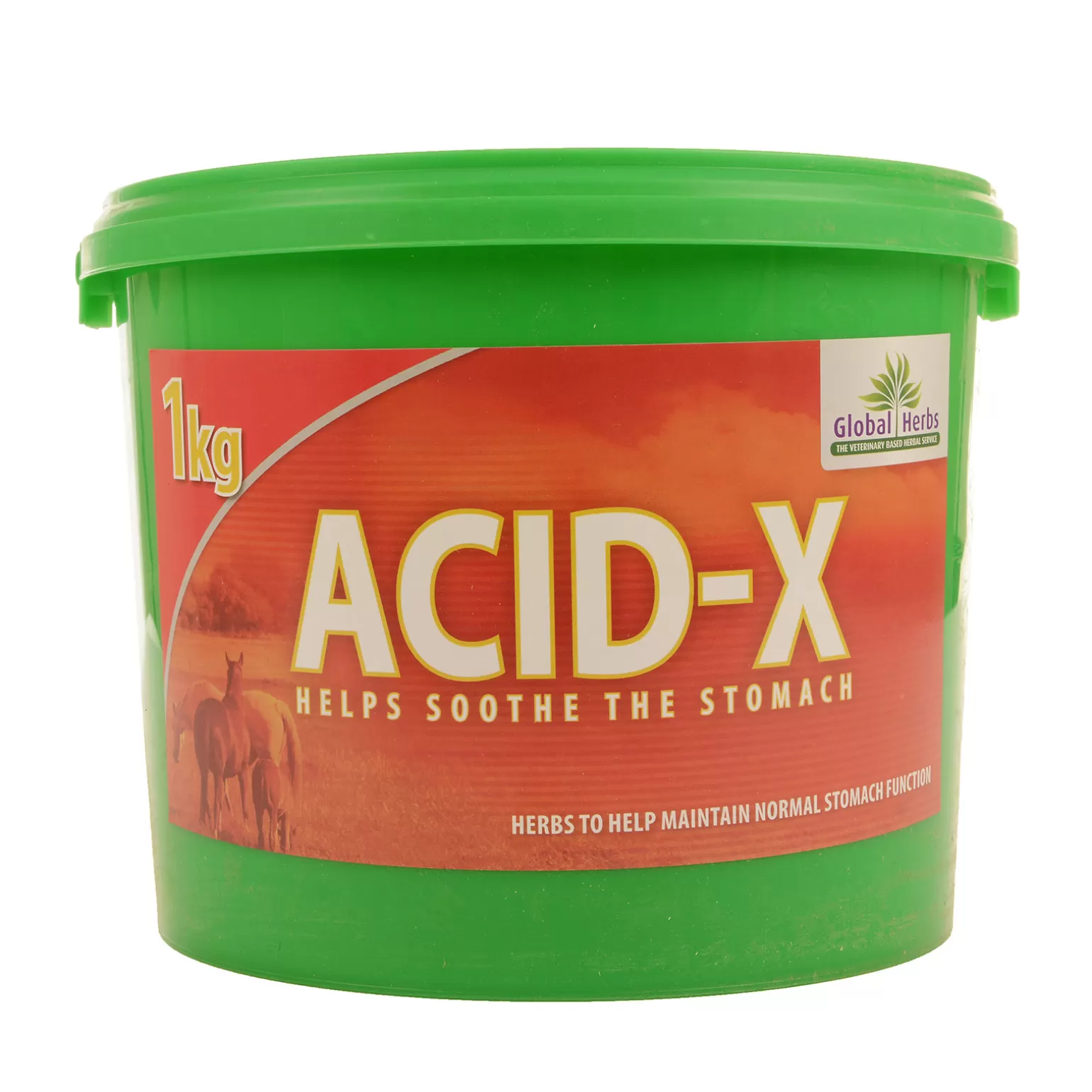 Clearance Global Herbs Acid X 1Kg Zusatzfutter