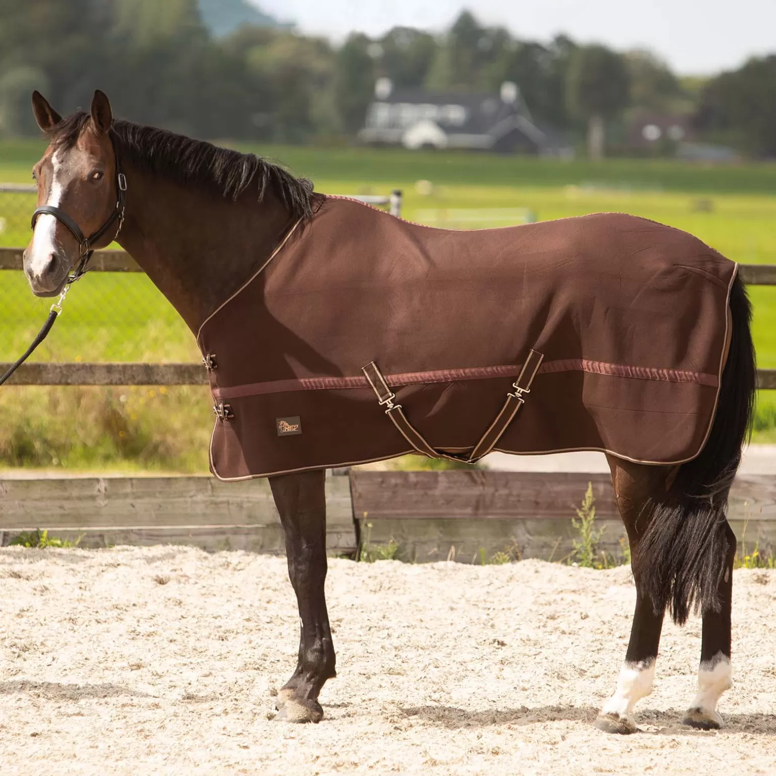 harryshorse Abschwitzdecken*Harry'S Horse Abschwitzdecke