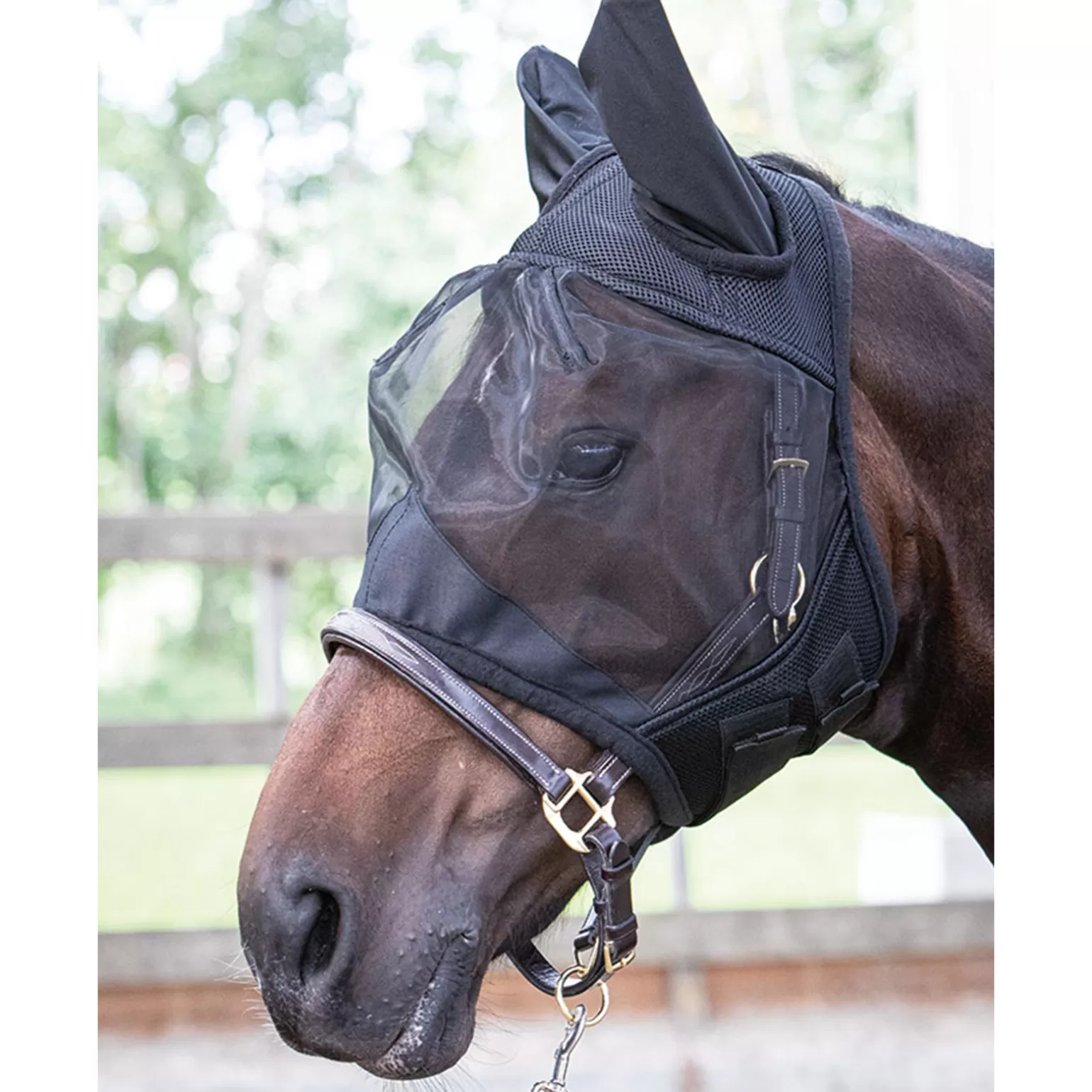 Cheap Harry'S Horse Fliegenmaske Flyshield Fliegenmasken & Fliegenfransen