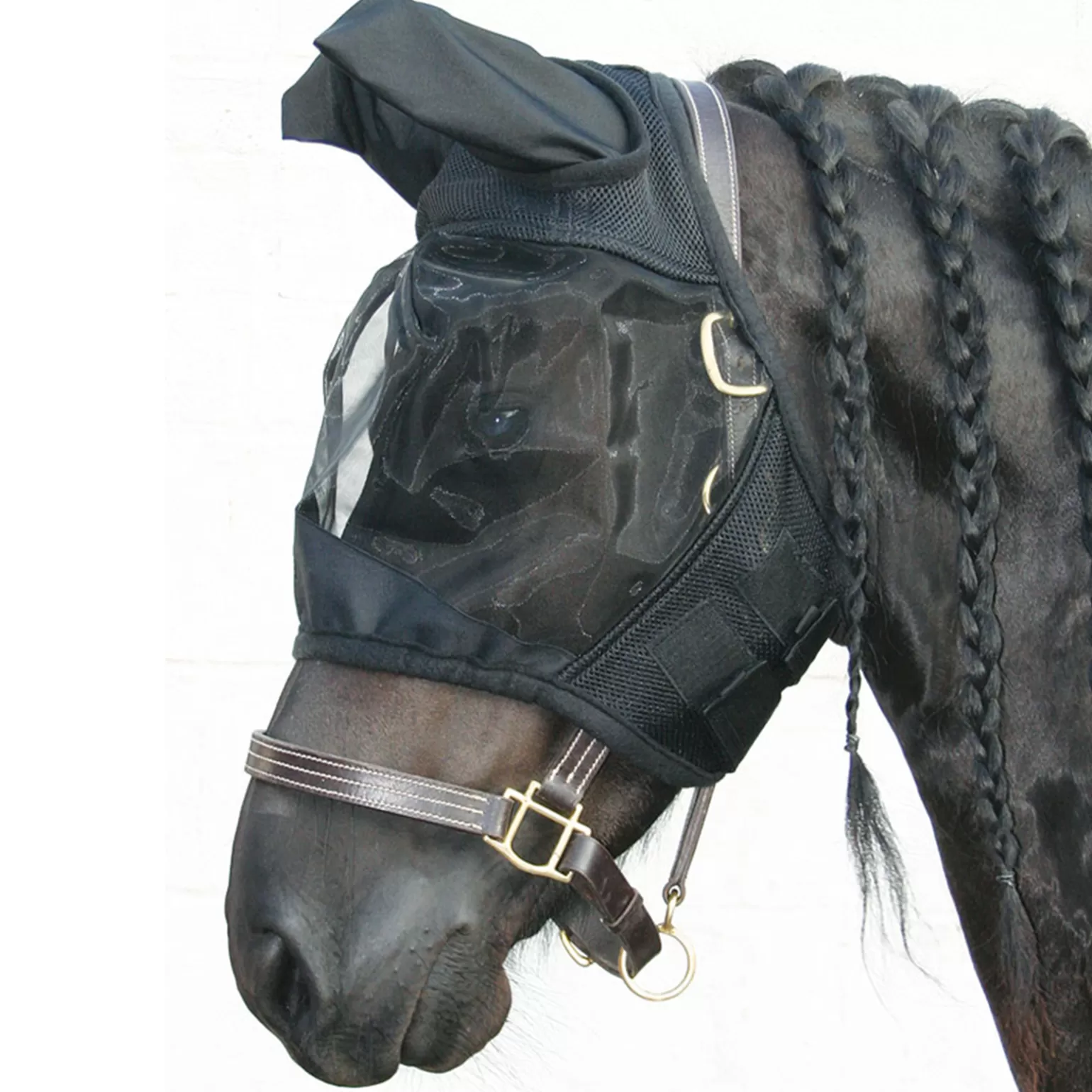 Cheap Harry'S Horse Fliegenmaske Flyshield Fliegenmasken & Fliegenfransen