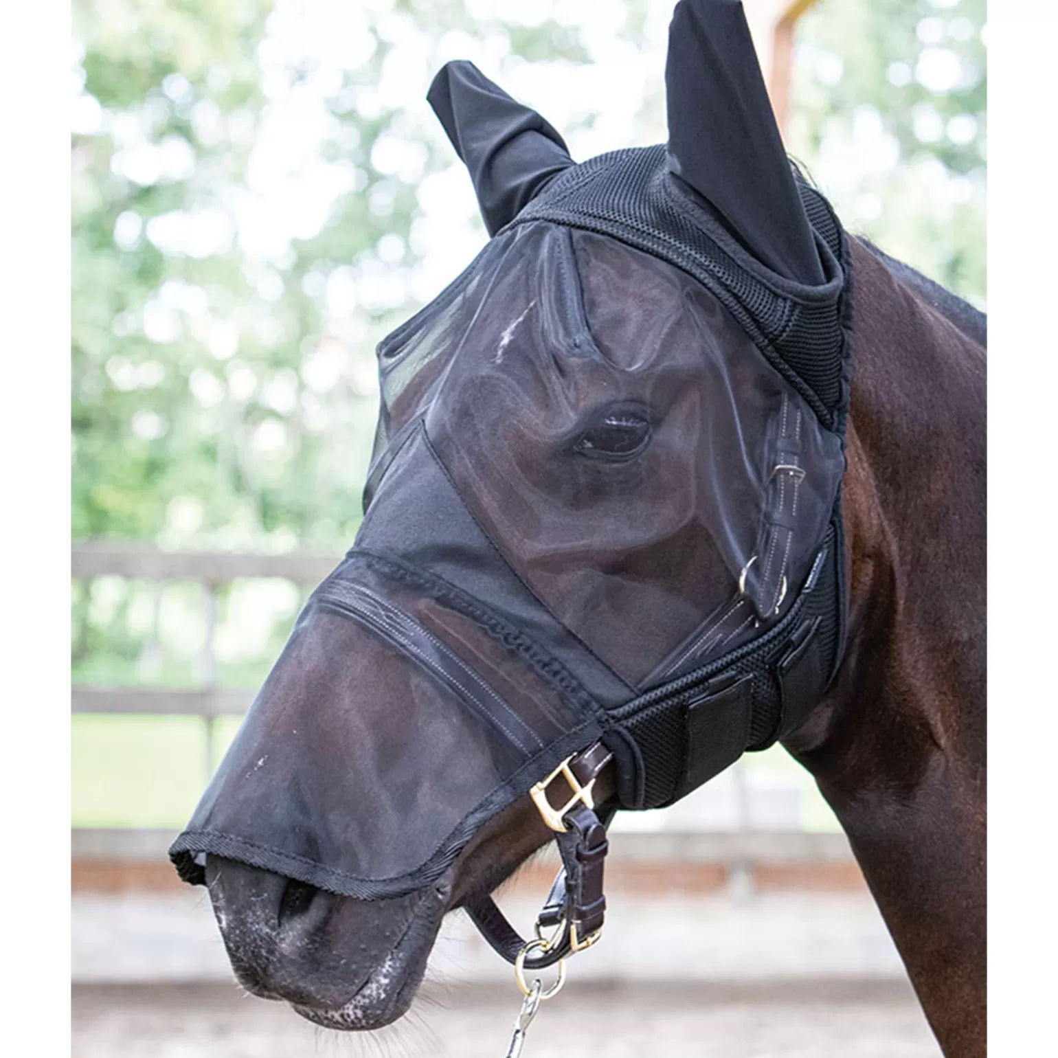 Store Harry'S Horse Fliegenmaske Flyshield Mit Nasenteil Fliegenmasken & Fliegenfransen