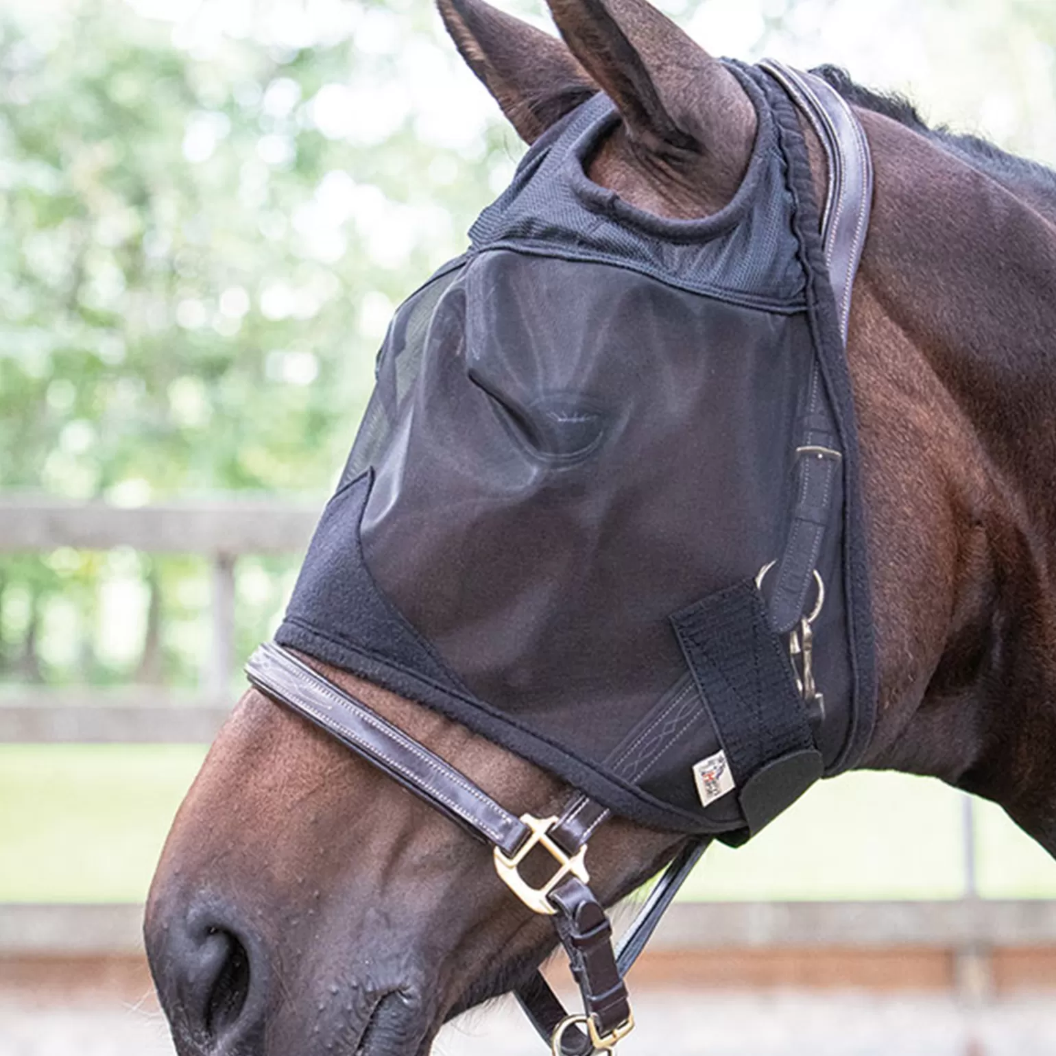 Best Sale Harry'S Horse Fliegenmaske Flyshield Ohne Ohren Fliegenmasken & Fliegenfransen