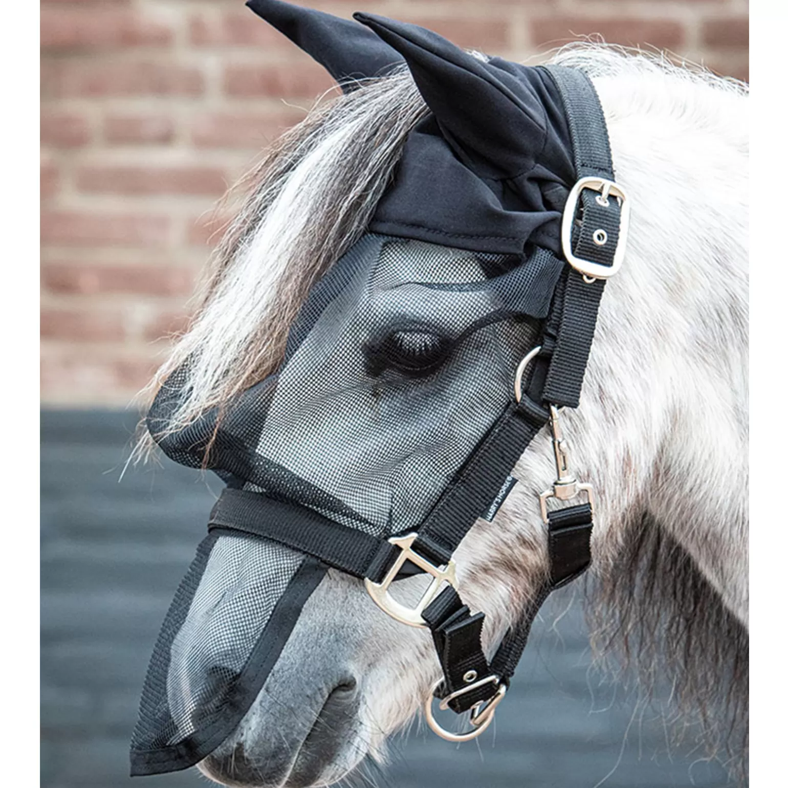 Best Sale Harry'S Horse Halfter Mit Fliegenhaube Halfter