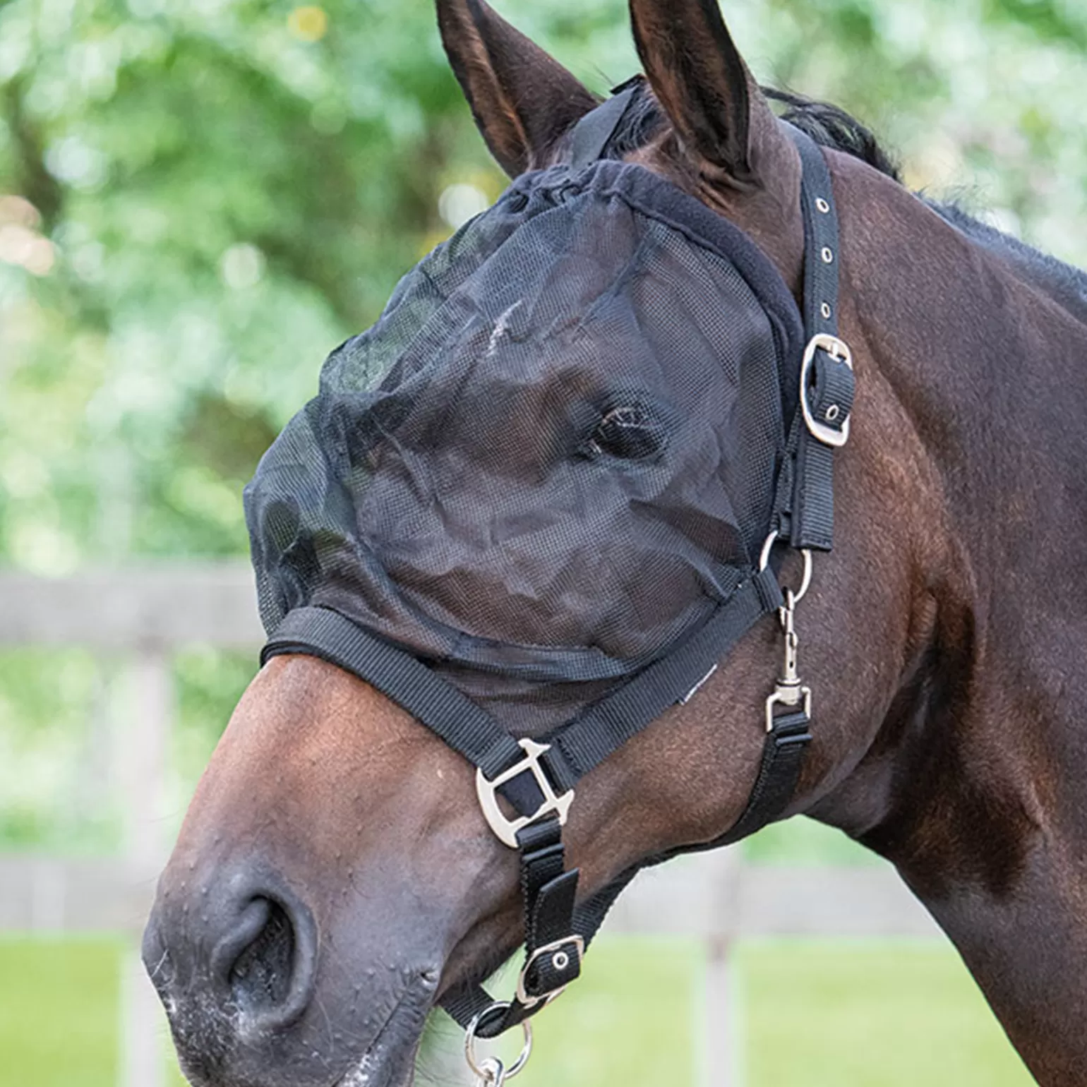 Fashion Harry'S Horse Halfter Mit Fliegenmaske Halfter