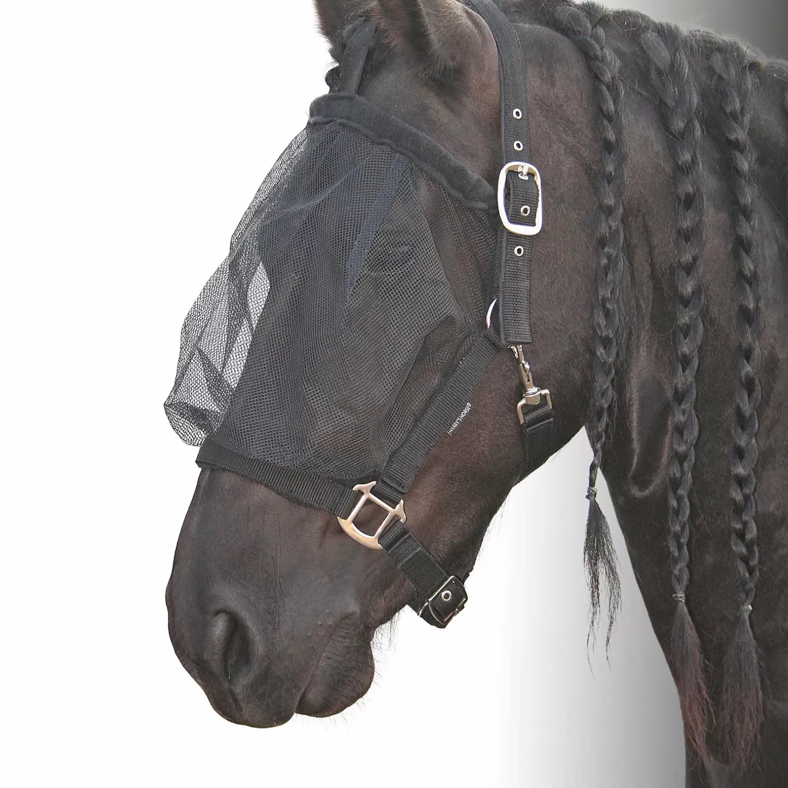 Fashion Harry'S Horse Halfter Mit Fliegenmaske Halfter