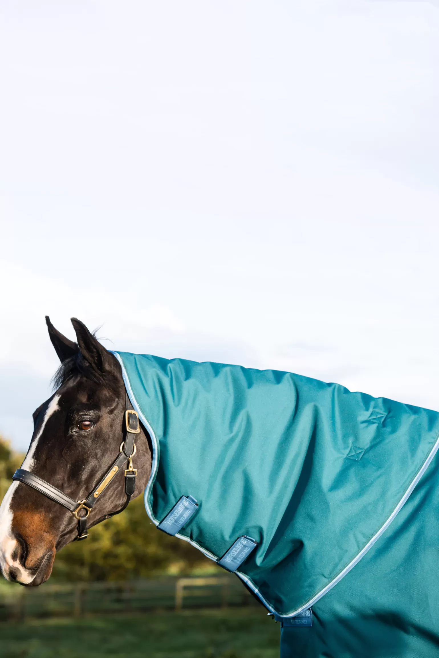 horseware Winterdecken* Amigo Bravo 12 Plus Weidedecke, 400G