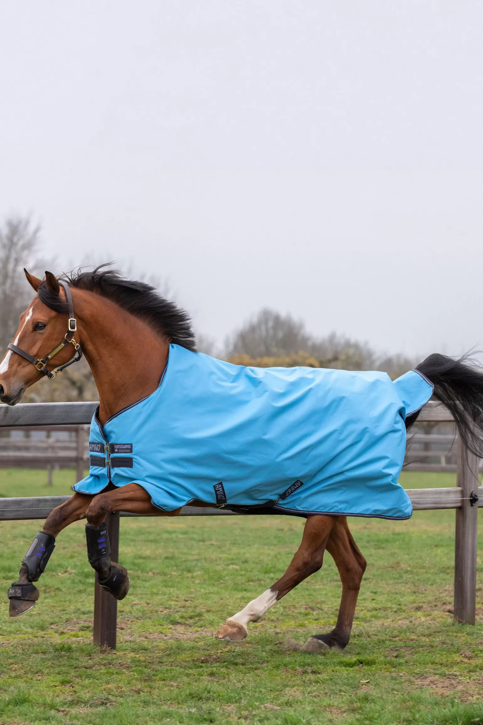 horseware Regendecken* Amigo Hero 900 T/O Lite Regendecke, 0G