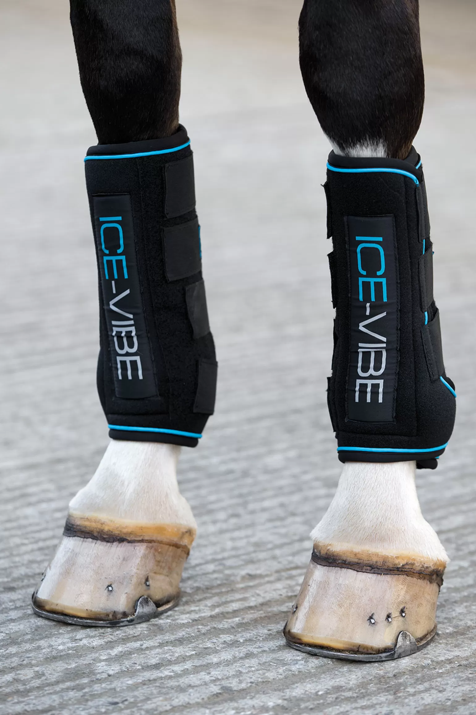 horseware Alle Kategorien Zeigen* Ice-Vibe Gamaschen