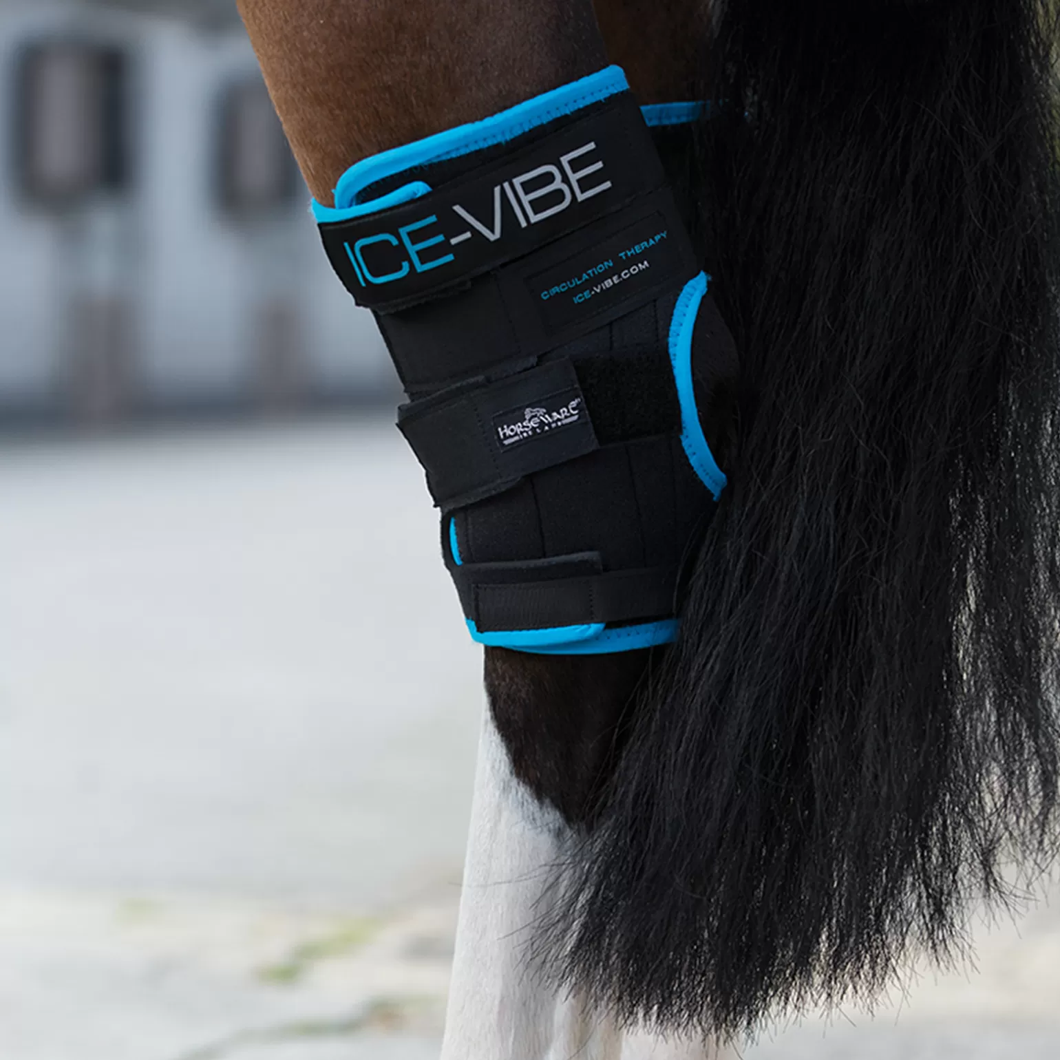 horseware Alle Kategorien Zeigen* Ice-Vibe Sprunggelenks-Schoner