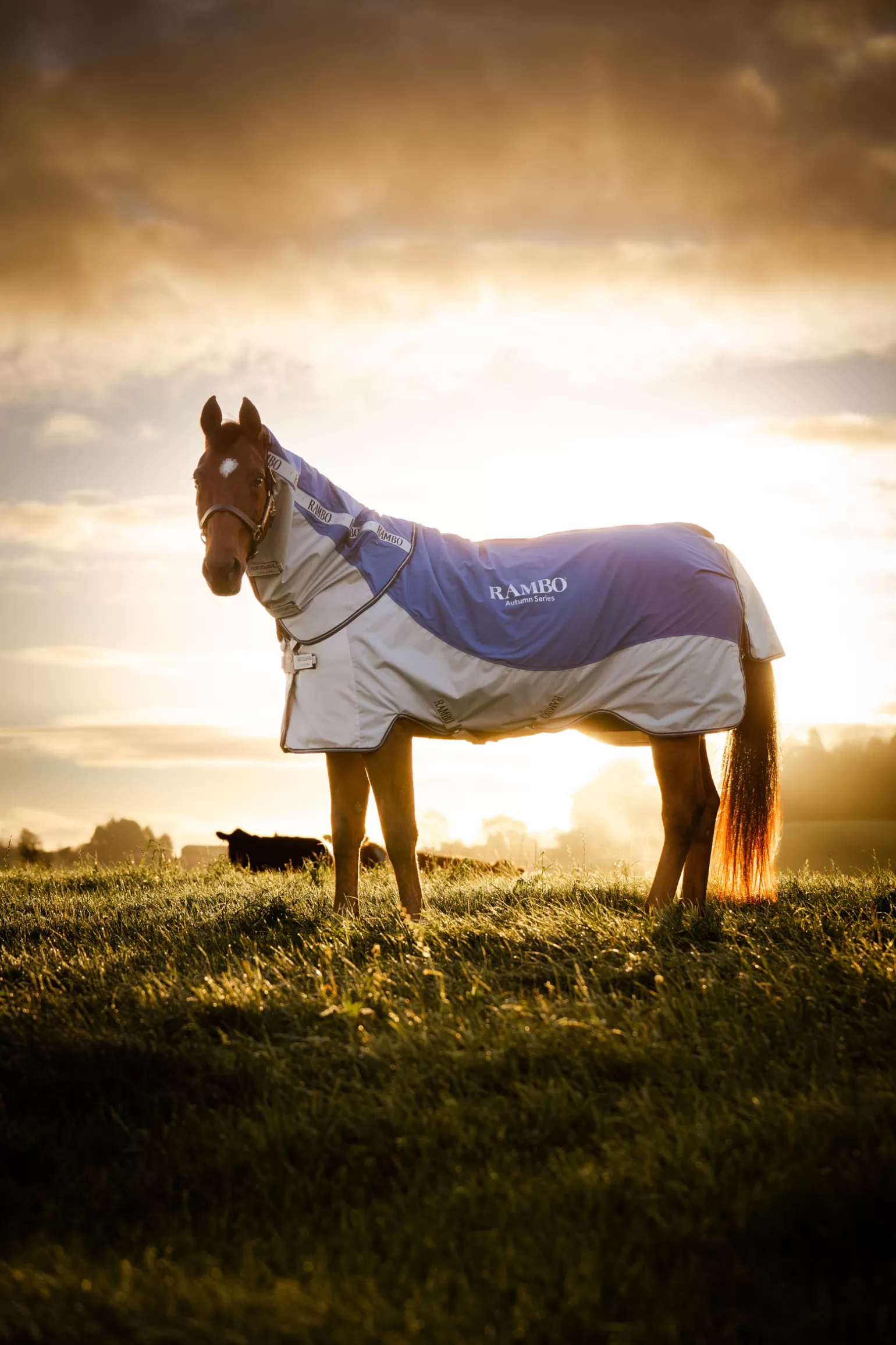 horseware Regendecken* Rambo Autumn Series