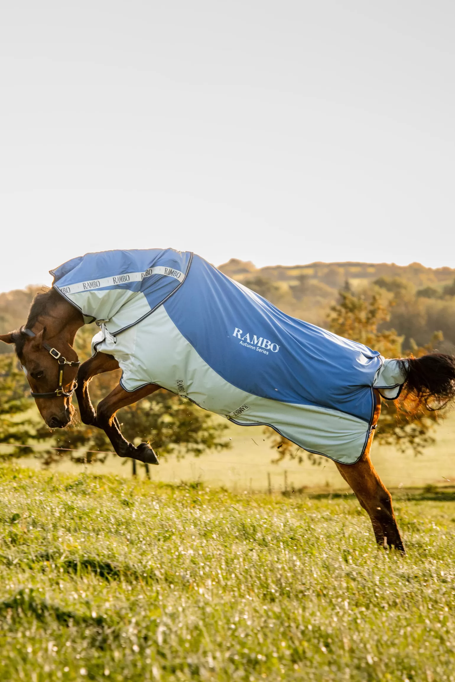 horseware Regendecken* Rambo Autumn Series