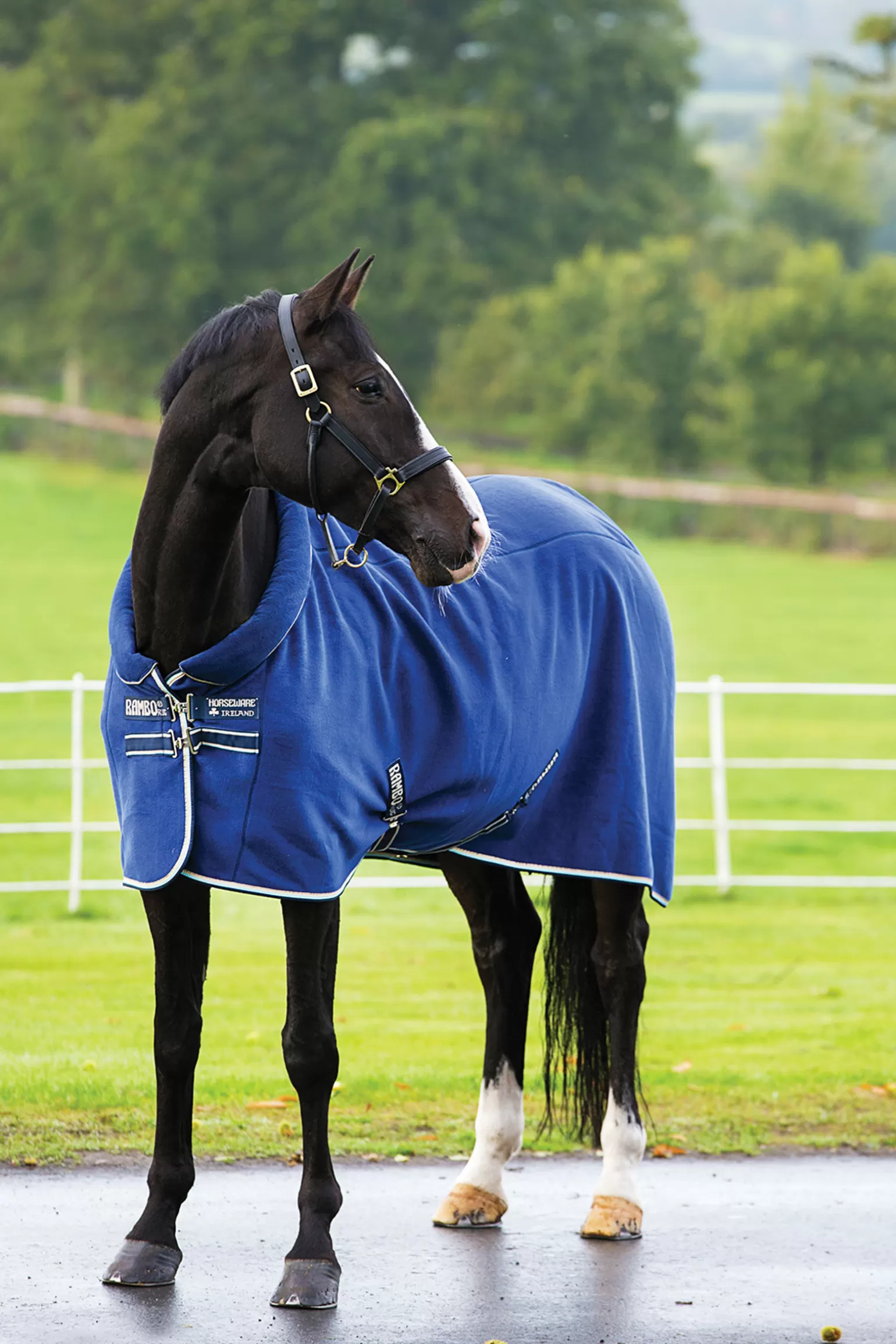 horseware Abschwitzdecken* Rambo Cosy Fleece Abschwitzdecke