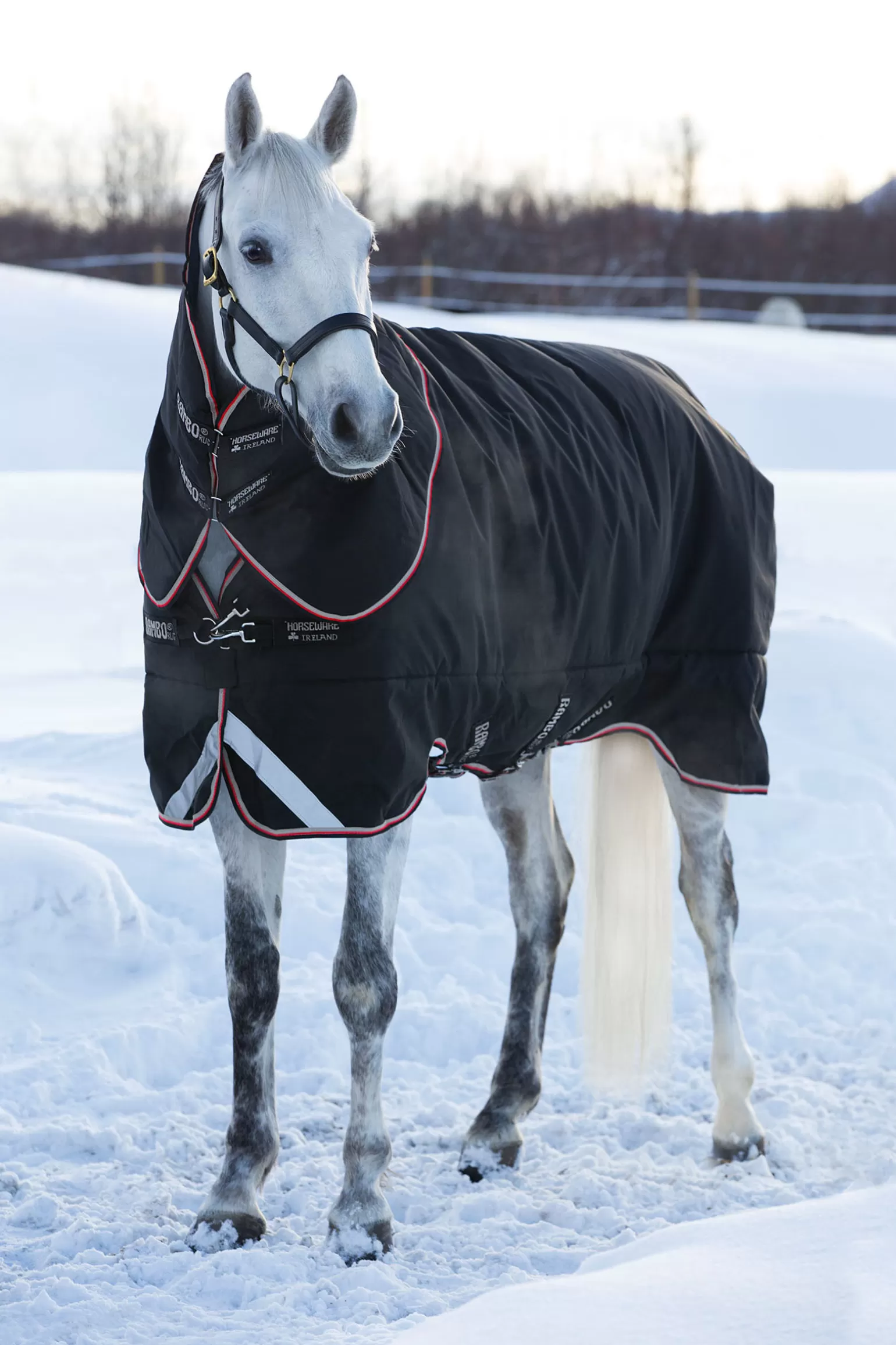 horseware Winterdecken* Rambo Supreme Winterdecke, 420G