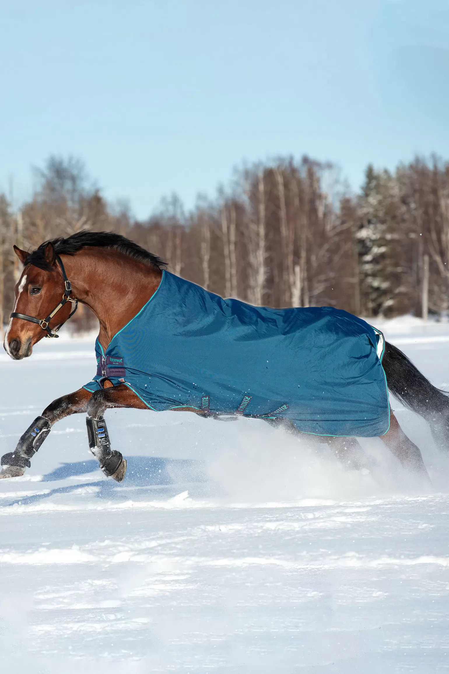 horseware Winterdecken* Rhino Original Vari-Layer Winterdecke, 250G