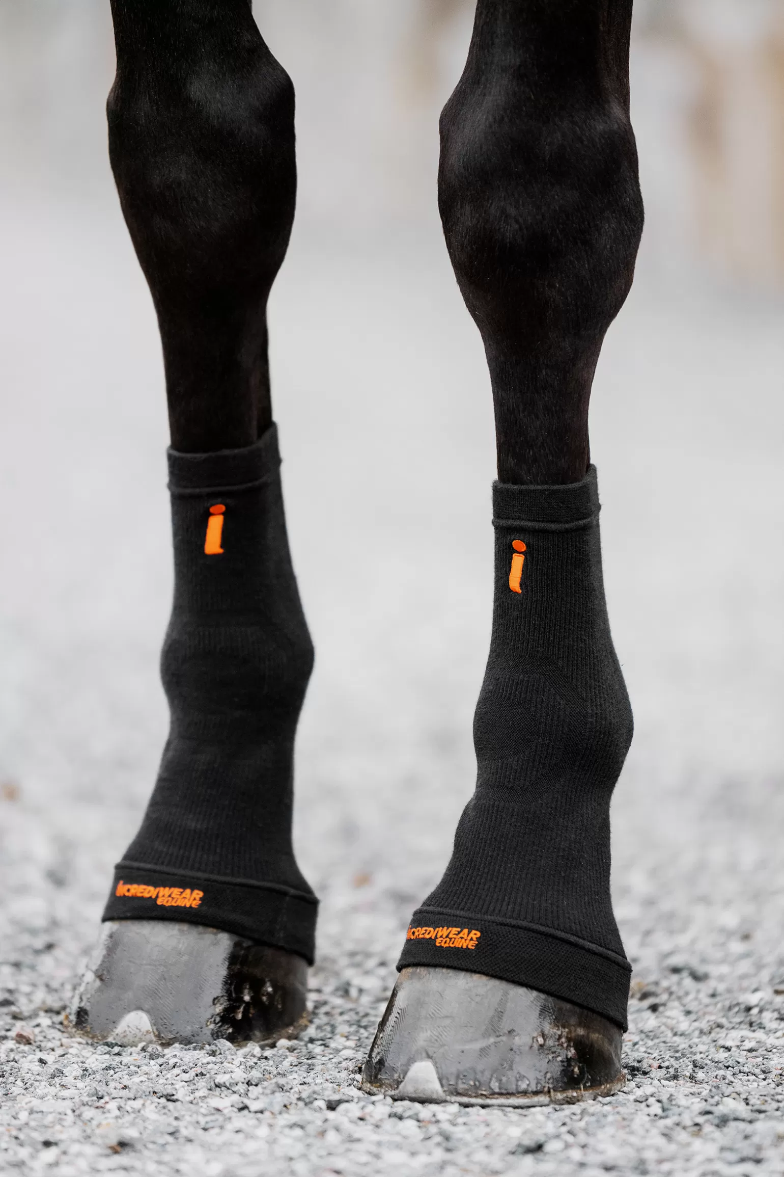 incrediwear Alle Kategorien Zeigen* Circulation Hoof Socks