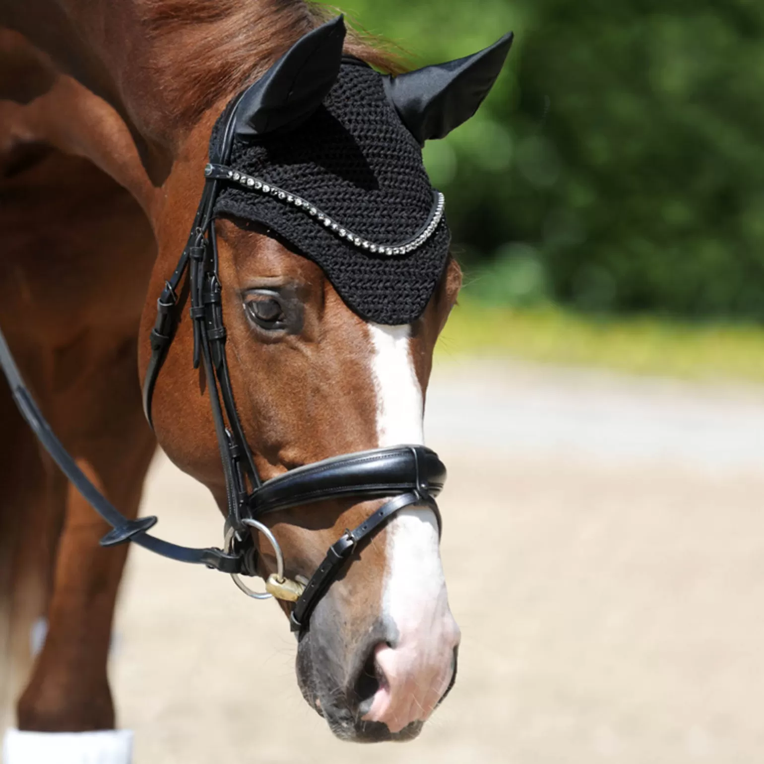 Best Easy Fliegenhaube Fliegenhauben & Fliegenohren