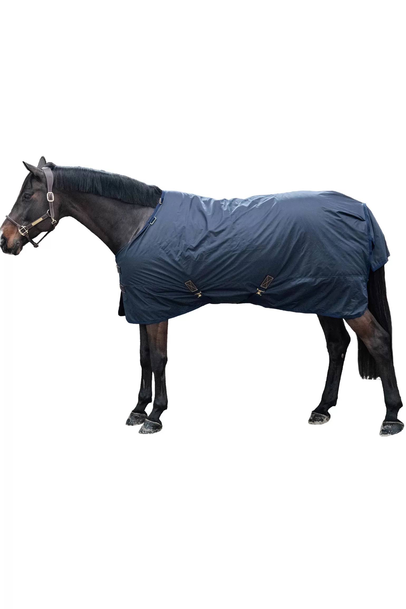 kentucky Regendecken* Horsewear All Weather Hurricane Weidedecke, 0G