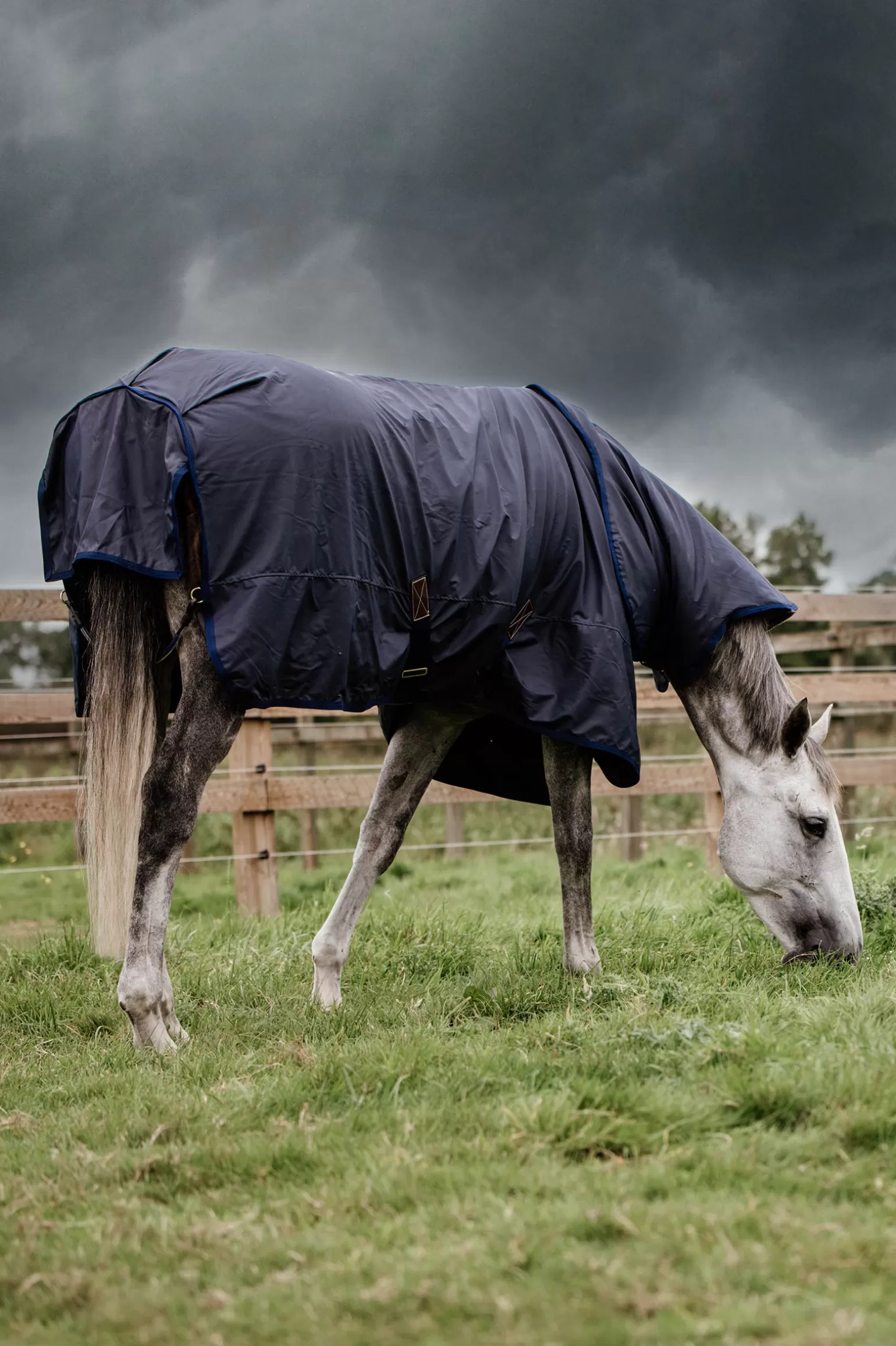 kentucky Regendecken* Horsewear All Weather Hurricane Weidedecke, 50G