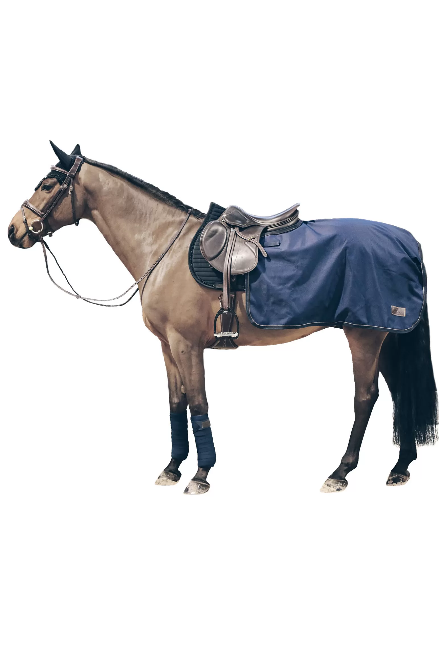 kentucky Ausreitdecken & Nierendecken* Horsewear All Weather Nierendecke, 160G