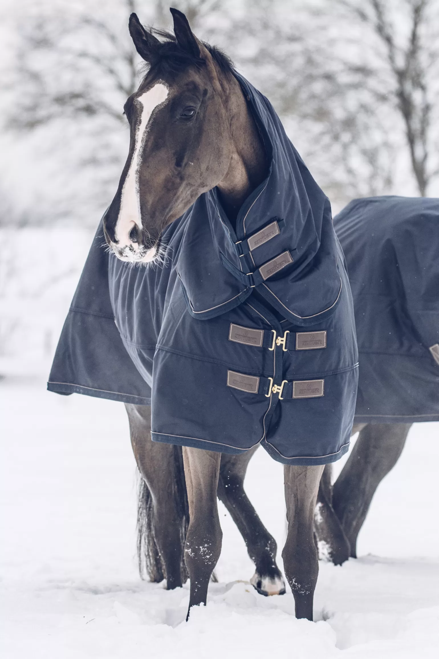 kentucky Winterdecken* Horsewear All Weather Waterproof Classic Winterdecke, 300G