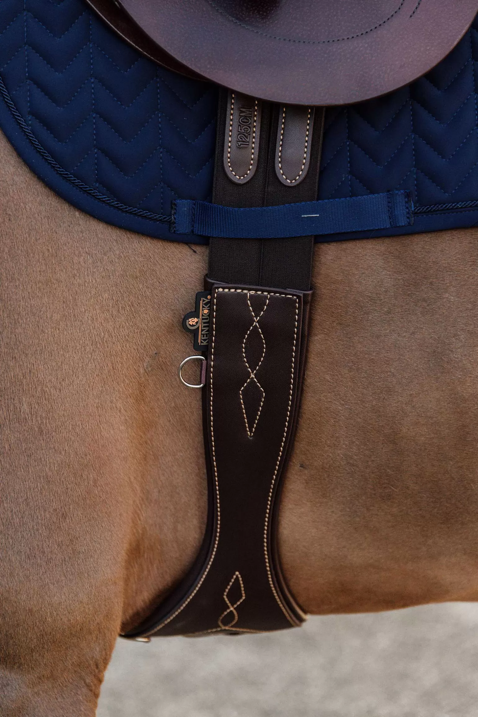 Store Horsewear Anatomischer Gurt Sattelgurte