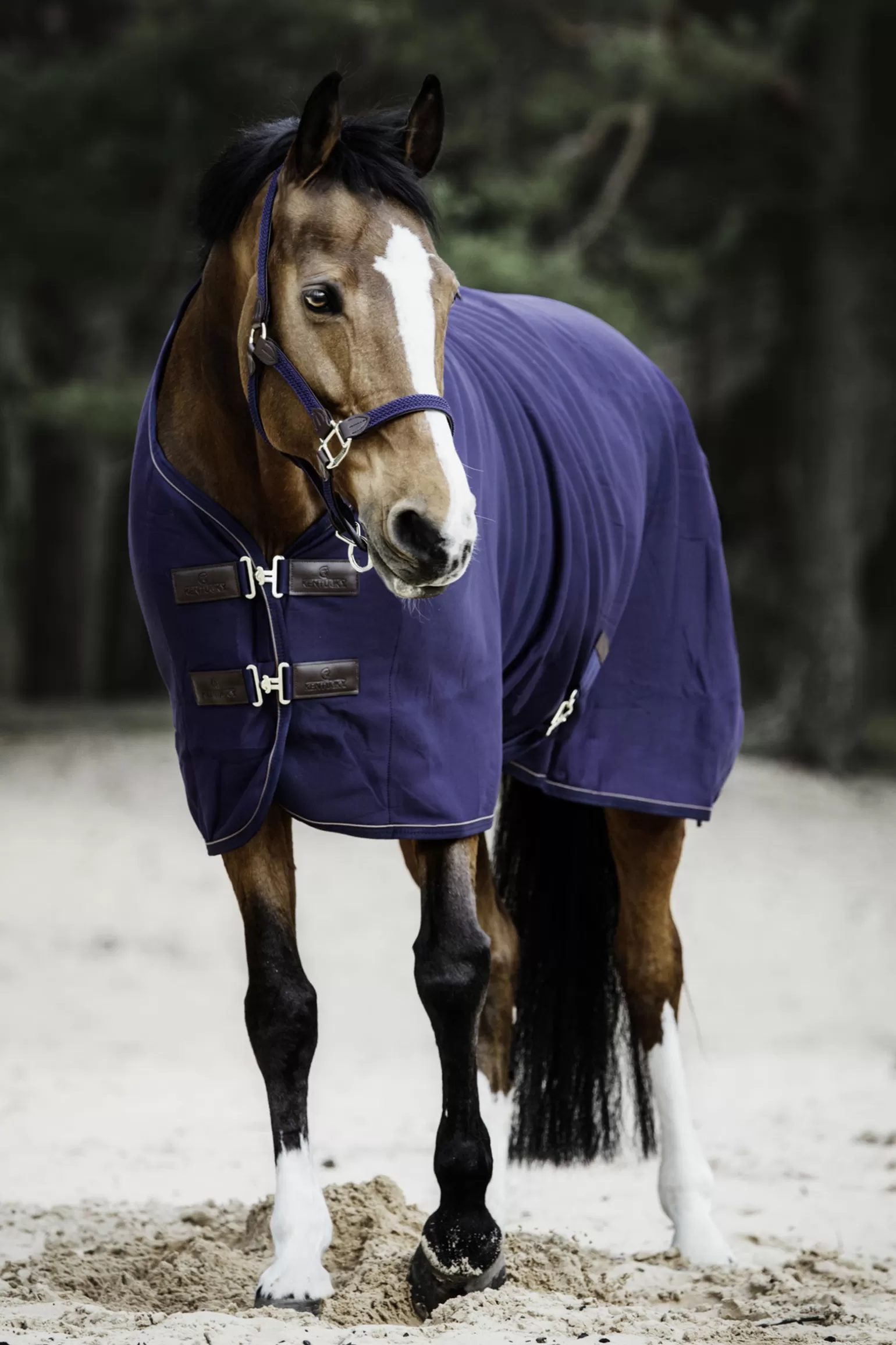 kentucky Abschwitzdecken* Horsewear Fleece Abschwitzdecke