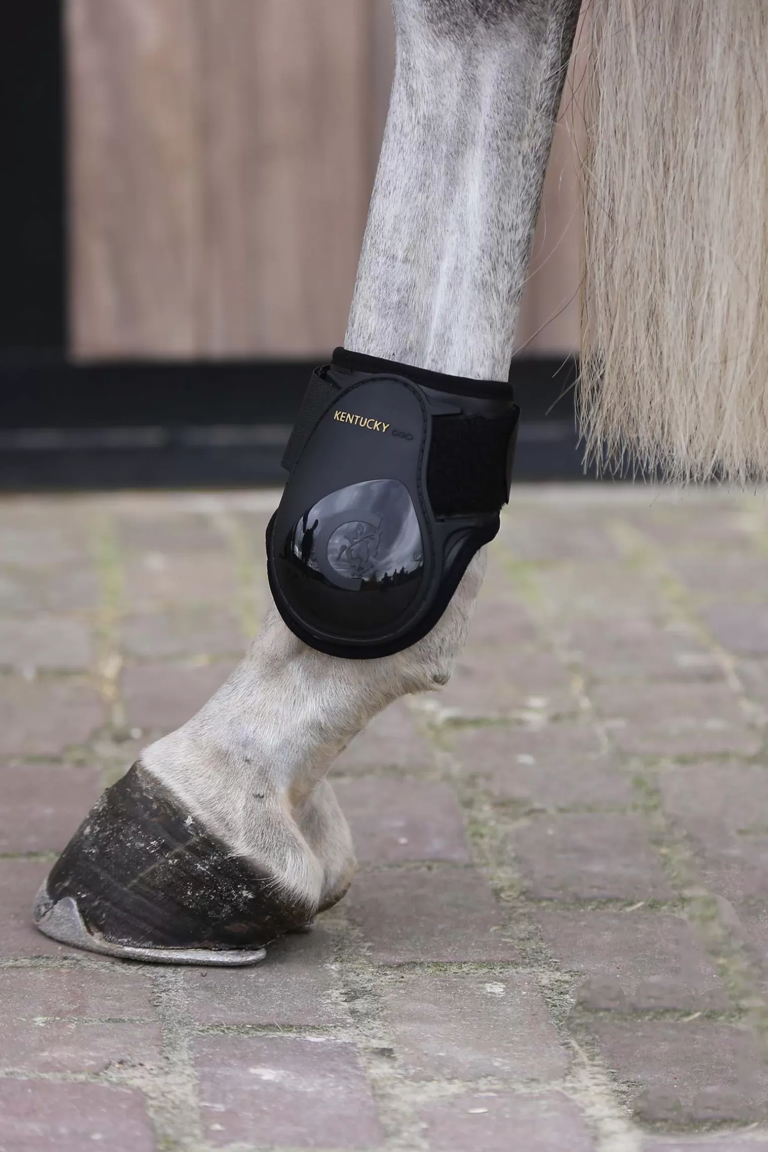 kentucky Streichkappen* Horsewear Jungpferde Streichkappe