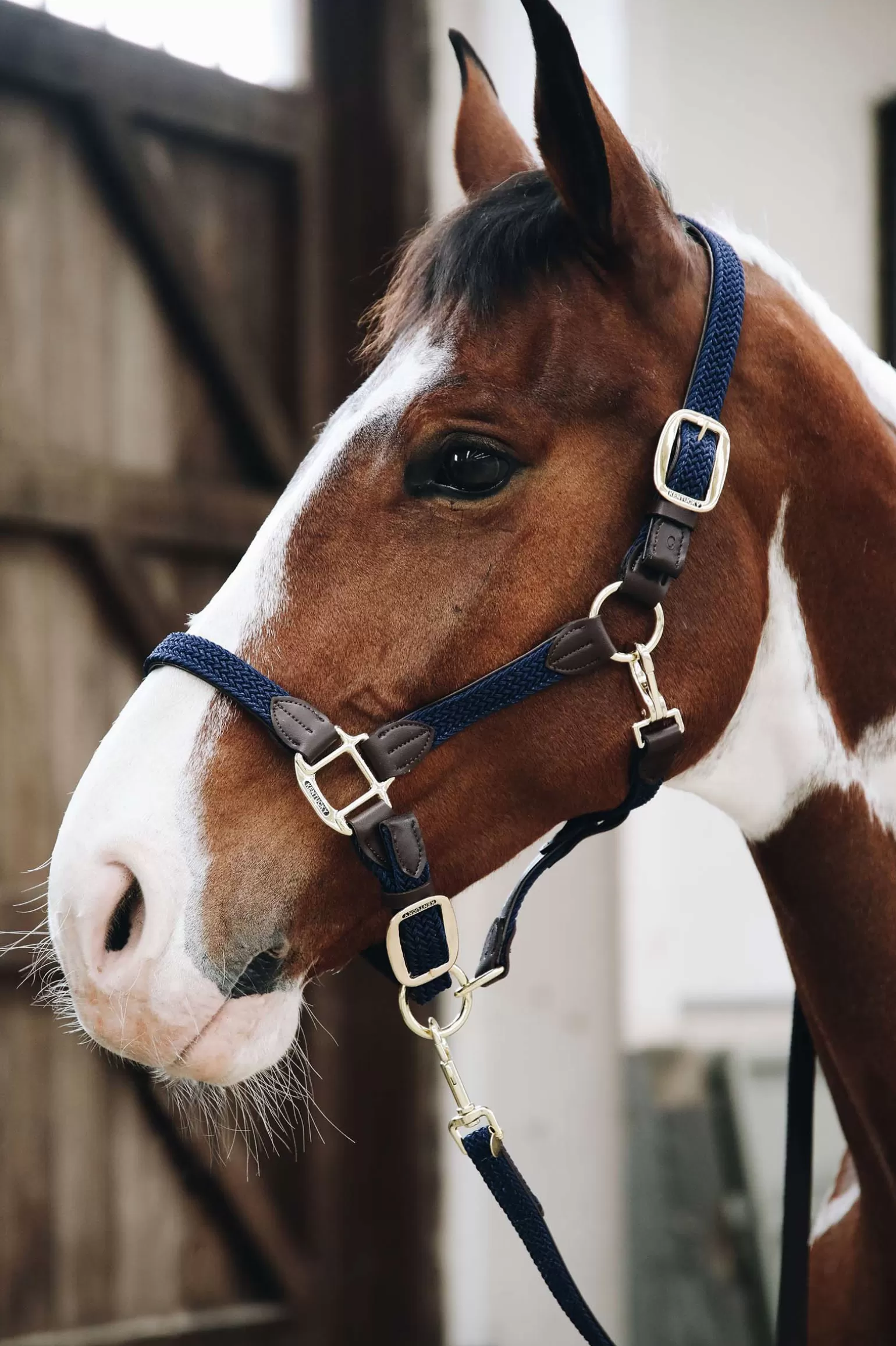 Clearance Horsewear Plaited Nylon Stallhalfter Halfter