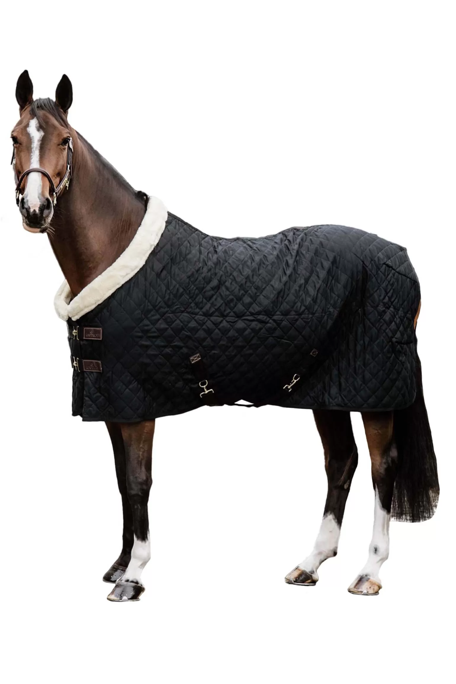 kentucky Stalldecken & Unterdecken* Horsewear Show Rug Turnierdecke, 160G