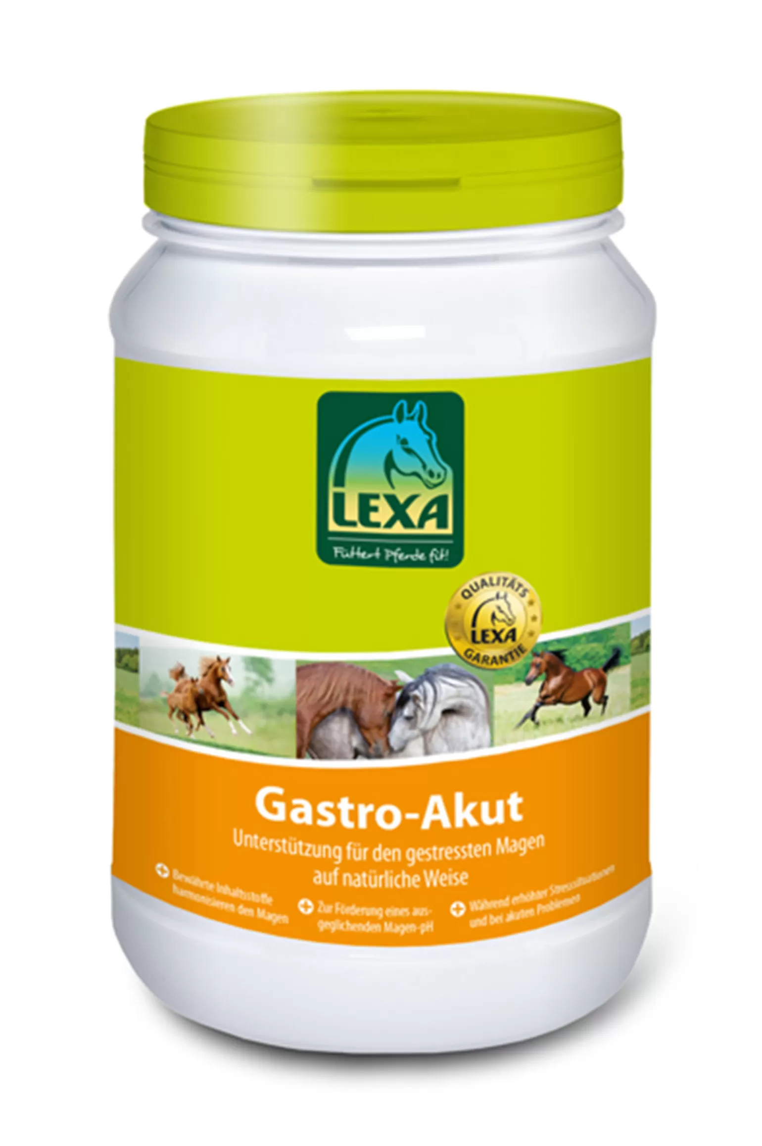 Shop Gastro Akut, 1Kg Zusatzfutter