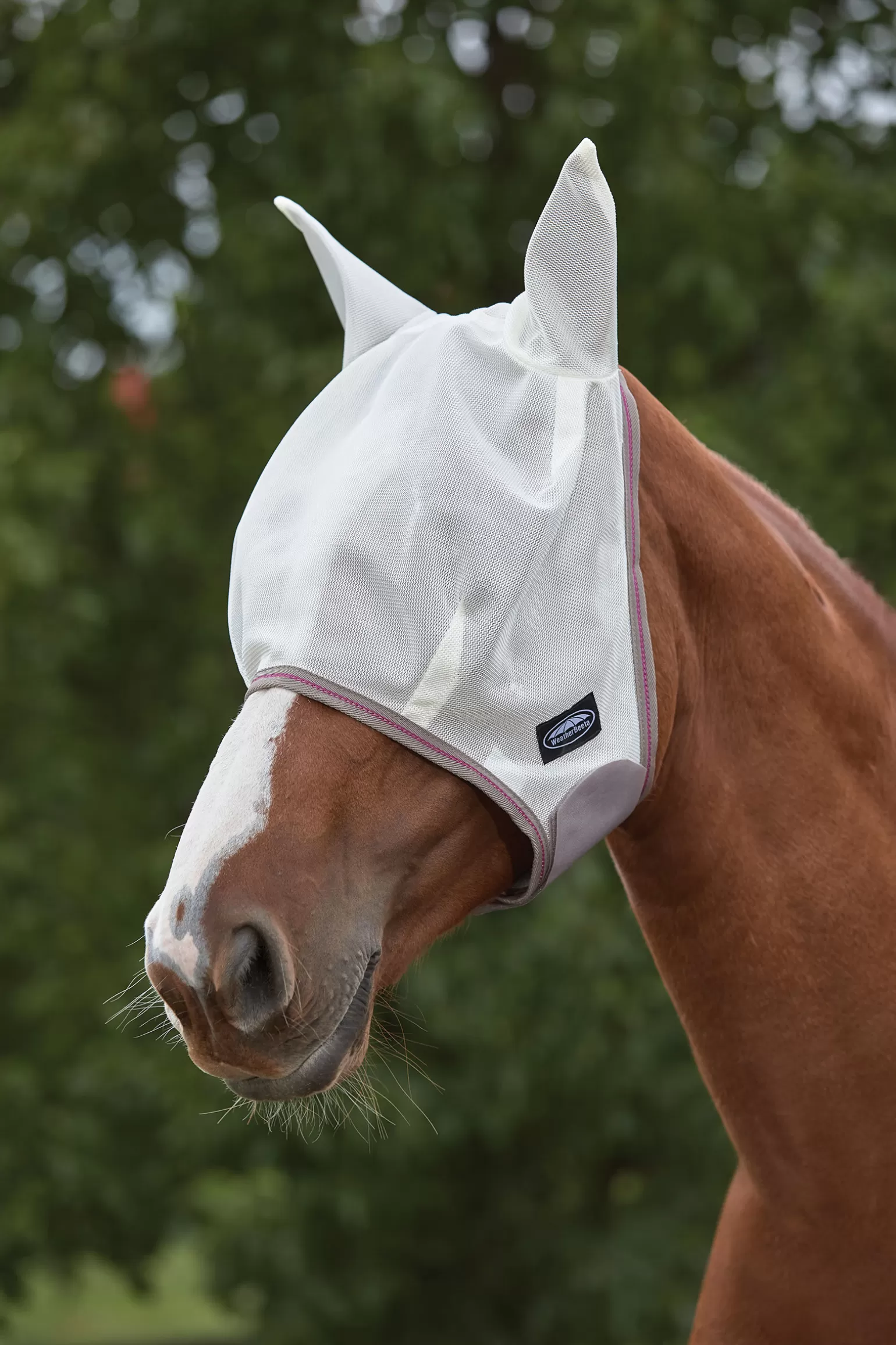 Flash Sale Comfitec Airflow Maske Fliegenmasken & Fliegenfransen